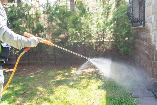 Best Fumigation Services  in Mccordsville, IN